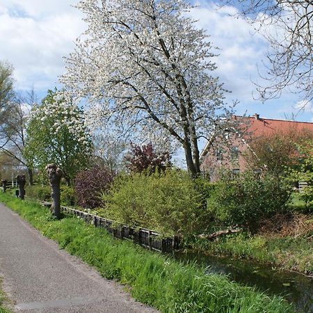 Gastenverblijf De Natureluur Noorden Exterior photo